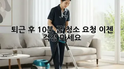 퇴근 후 10분! 급 청소 요청, 이젠 걱정 마세요!