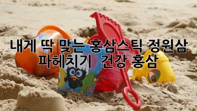 내게 딱 맞는 홍삼스틱, 정원삼 파헤치기! 🔍 #건강 #홍삼