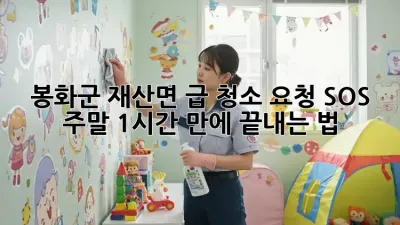 봉화군 재산면 급 청소 요청 SOS! 주말 1시간 만에 끝내는 법 🏡✨